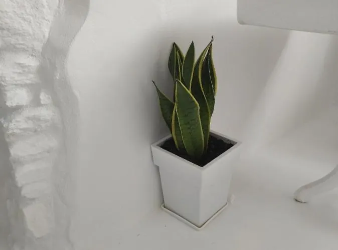 Sao Smallport Paros Naousa